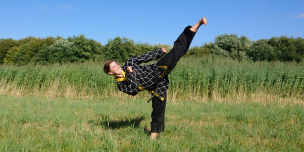 Roskilde Shinson Hapkido tryout image