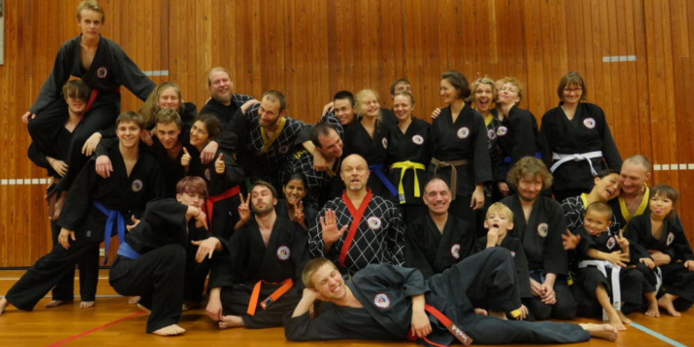 Roskilde Shinson Hapkido tryout image