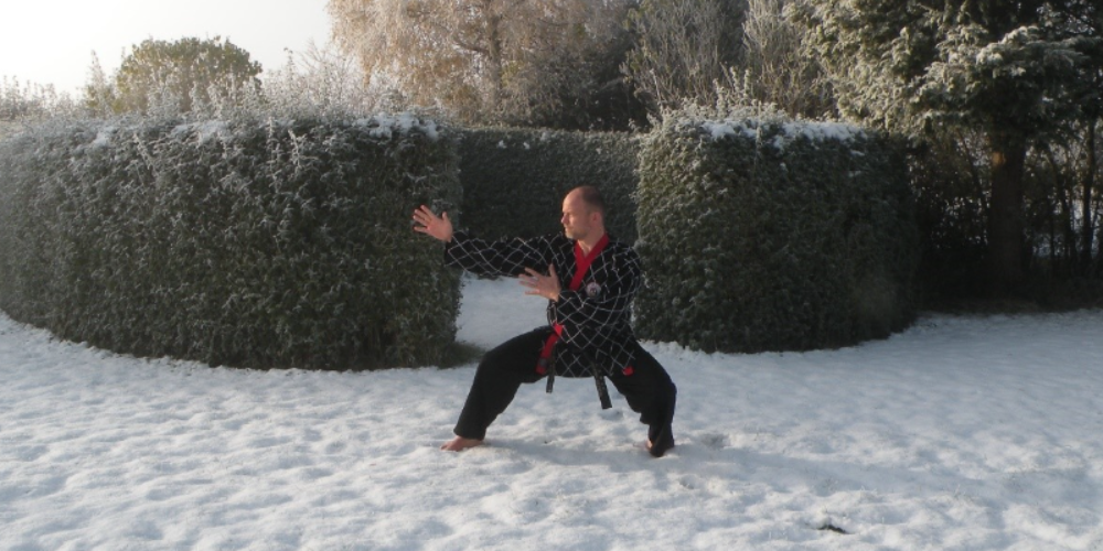 Roskilde Shinson Hapkido tryout image