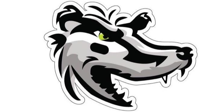 Odense Badgers BGIF - Amerikansk Fodbold i Odense