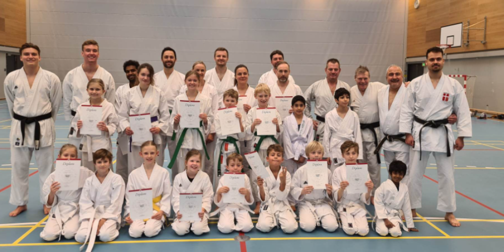 Shin-to shotokan karate-do i København