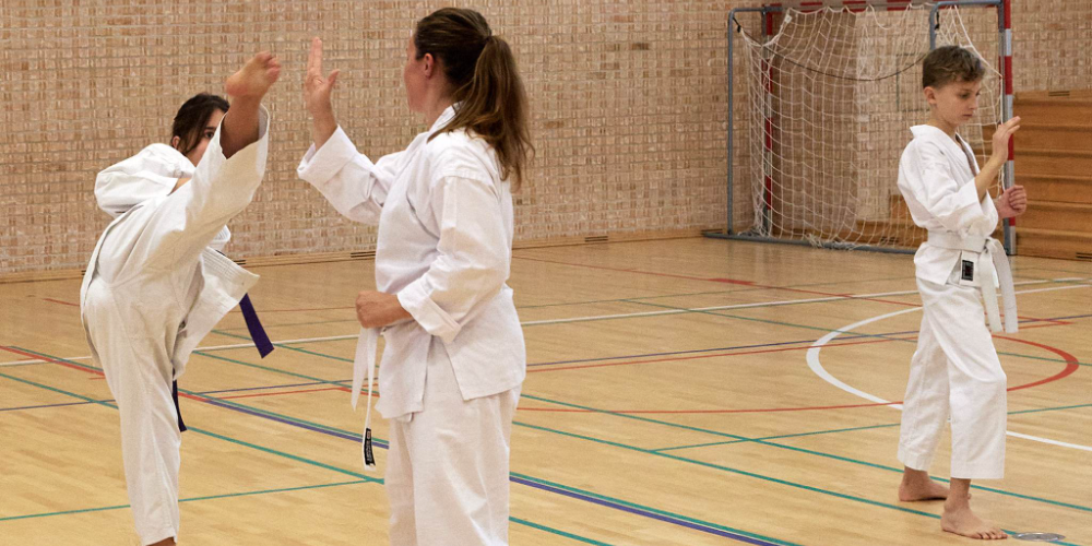 Shin-to shotokan karate-do i København