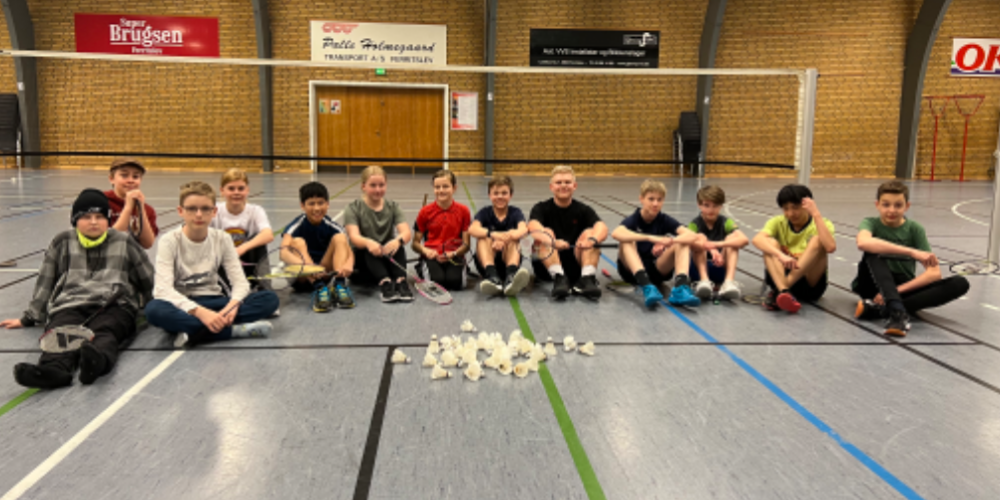 Rolfsted IF - Pickleball i Faaborg-Midtfyn