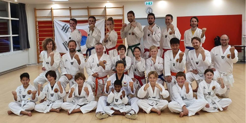 Svendborg Taekwondo  Klub tryout image