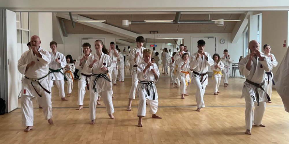 Faaborg Goju Ryu karate-do og Selvforsvar Skole - Karate i Faaborg-Midtfyn