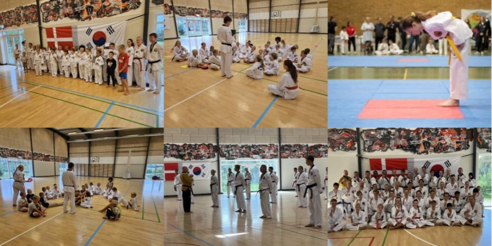 Kyun Hyeong - Sydfyns Taekwondo Klub tryout image