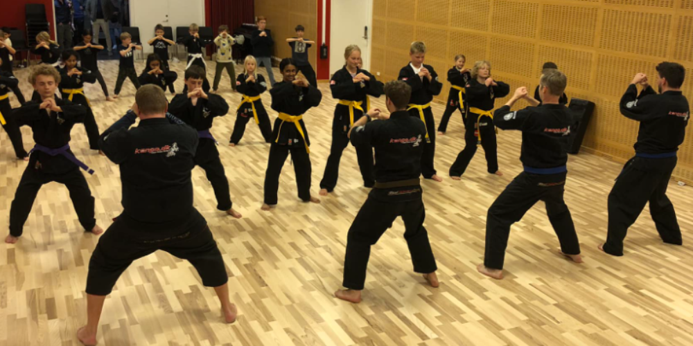 Kenpo Studio Cph - Karate i København