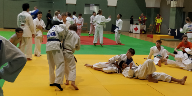 Halsnæs judo klub - Judo i Halsnæs