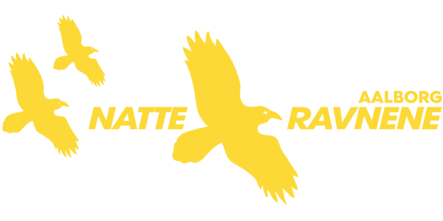 Natteravnene i Aalborg i Aalborg