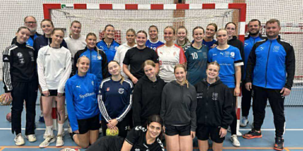 Viby IF Håndbold (Damer)  - Håndbold i Aarhus
