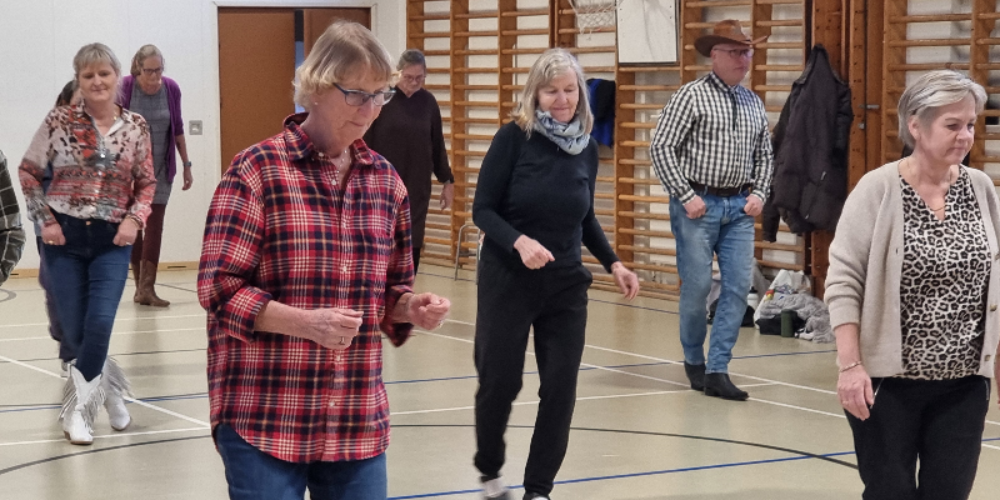Seniorsport Nordsjælland  - Padel og Pilates og AquaFitness og Dans og Bordtennis og Cirkeltræning og Fitness og Pickleball og Styrketræning og Gymnastik og Qi Gong og Zumba og Multisport og Yoga og Motionsgymnastik i Hørsholm