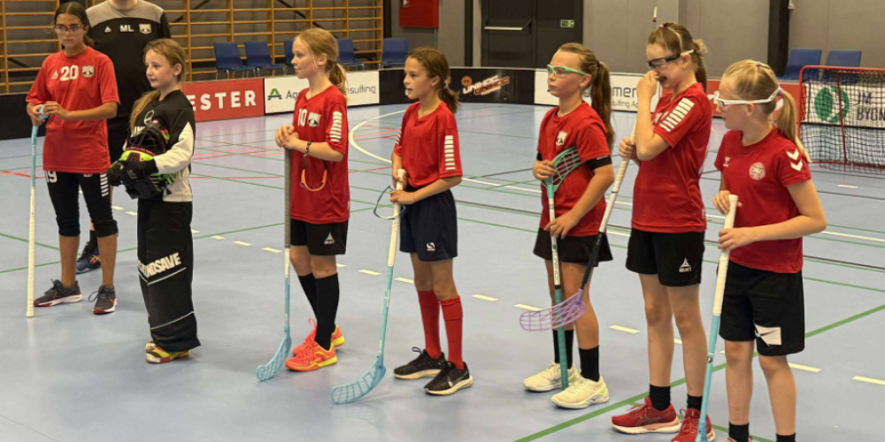Rødovre Floorball Club - Floorball i Rødovre