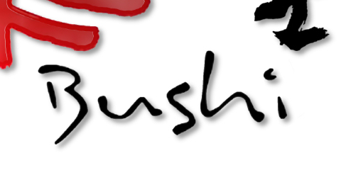 Bushi Karate & Combat Sport - Karate i Gribskov