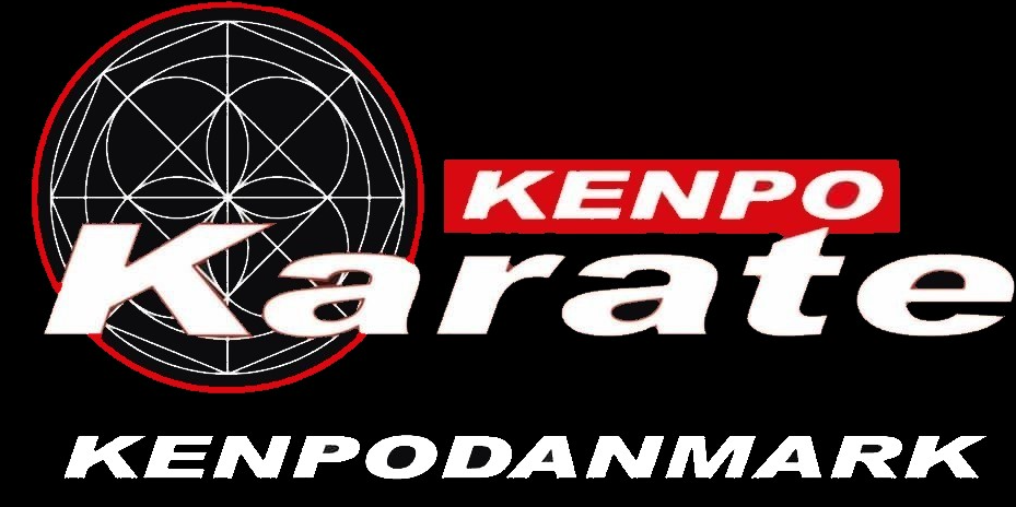 Haderslev Kenpo Studio i Haderslev