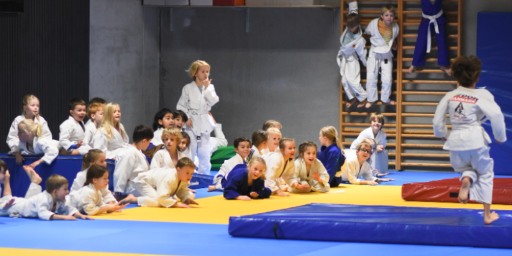 Amager Judo Skole - Judo i København