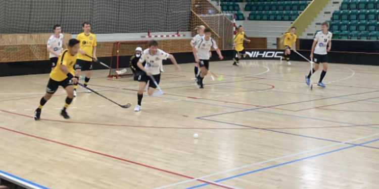 Team Århus Floorball - Floorball i Aarhus