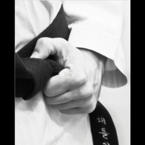 Copenhagen city taekwondo Klub logo