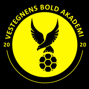 Vestegnens bold akademi  image