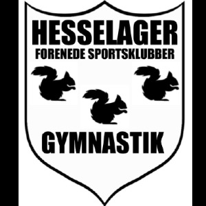 Hesselager Forenede Sportsklubber - Gymnastik image
