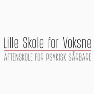 Lille Skole for Voksne Nordjylland image