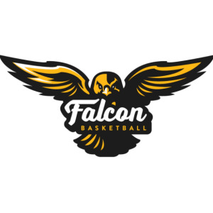 Falcon Basketball image