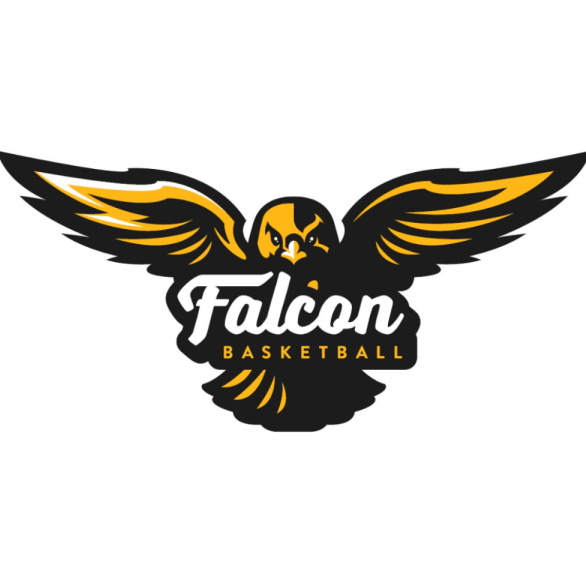Falcon Basketball image