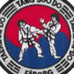 Faaborg Taekwondo Klub image