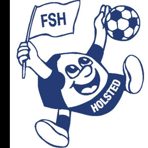 FSH Holsted image