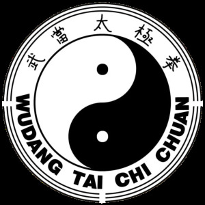 Practical Tai Chi Chuan Lyngby image