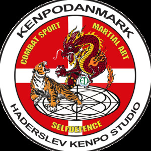Haderslev Kenpo Studio logo
