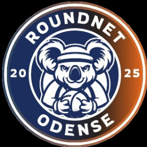 Roundnet Odense image