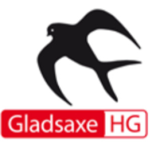 Gladsaxe HG image