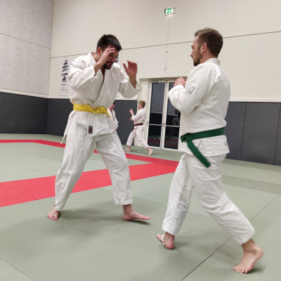 jiu-jitsu-selvforsvar-for-alle-1646768617