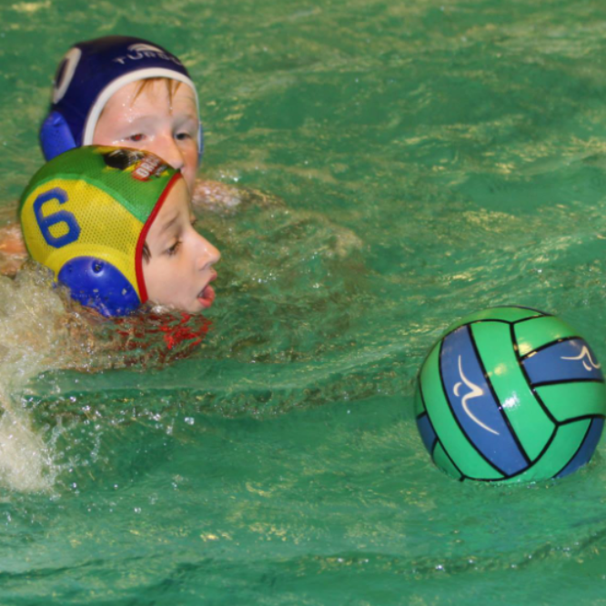 Vandpolo U11 tryout image