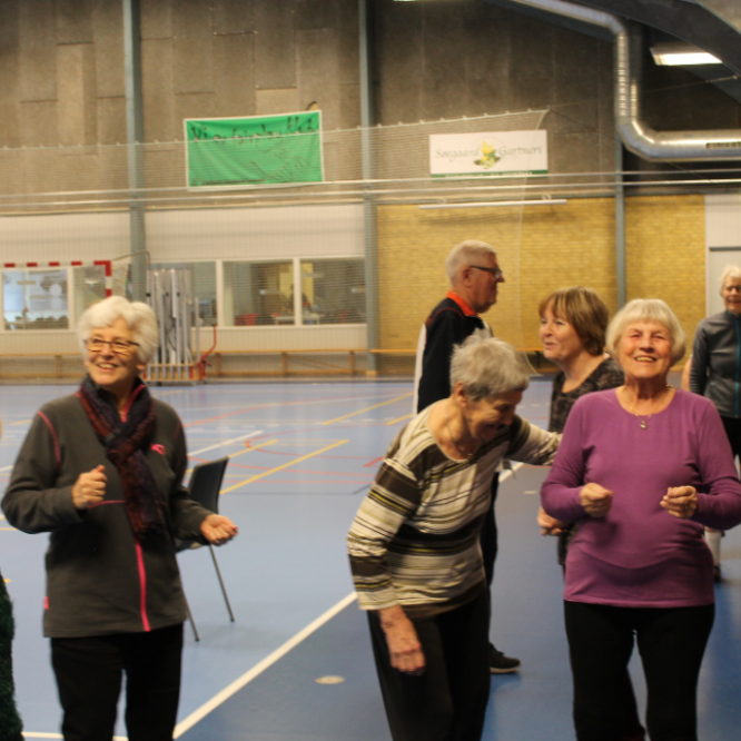 Motion for ældre. Gymnastik, billard, badminton mm tryout image