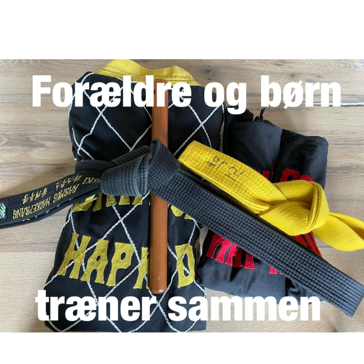 Kampkunst for forældre og børn (6+) tryout image