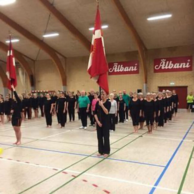 Motionsdamer  tryout image