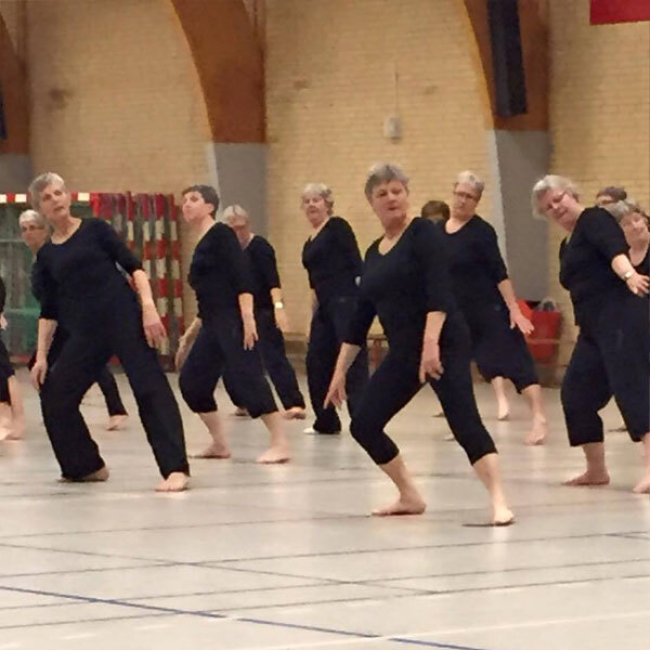 Motionsdamer  tryout image