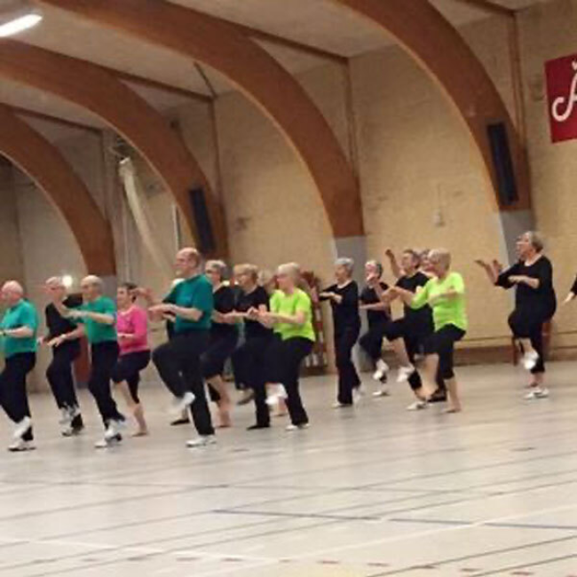 Motionsmix tryout image