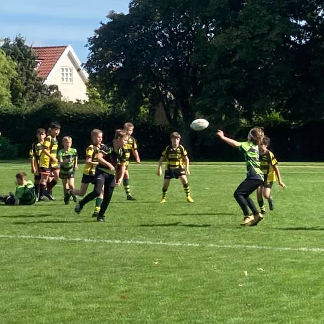 Rugby træning U6-U8        tryout image