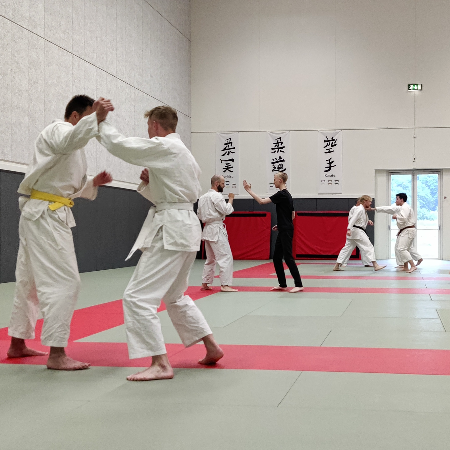 Jiu-Jitsu selvforsvar for alle, min. 15 år  tryout image