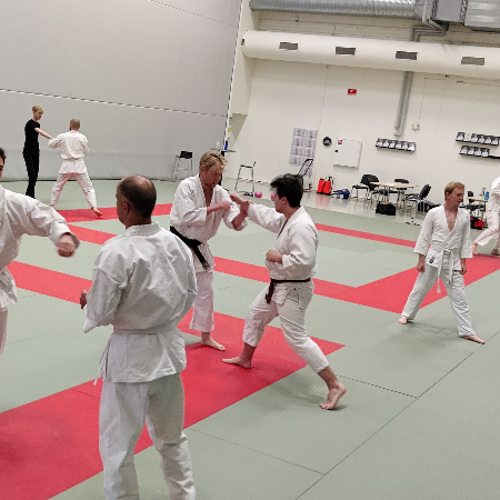 Jiu-Jitsu selvforsvar for alle, min. 15 år  tryout image