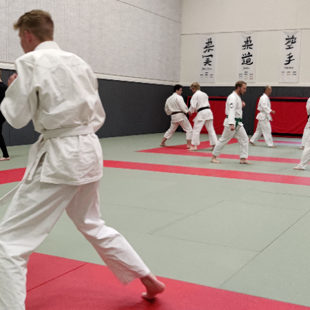 Jiu-Jitsu selvforsvar for alle, min. 15 år  tryout image