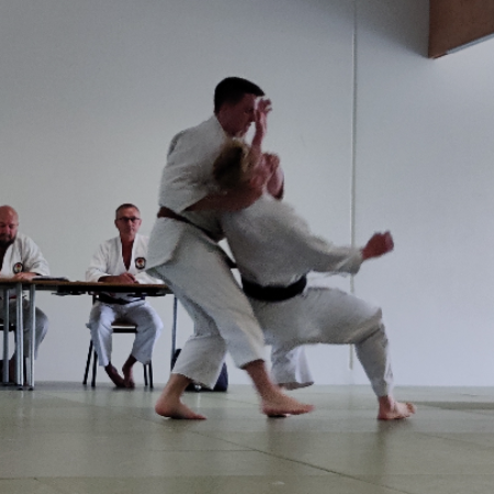 Jiu-Jitsu selvforsvar for alle, min. 15 år  tryout image