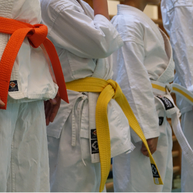 Karate fra 8 år og op - Begynder - Tirsdage tryout image