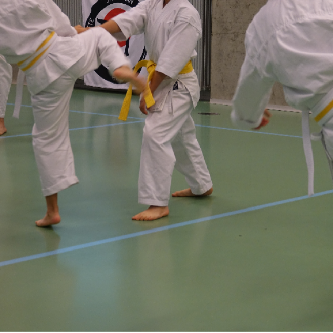 Karate fra 8 år og op - Begynder - Tirsdage tryout image