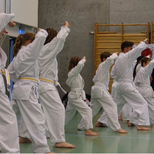 Karate fra 8 år og op - Begynder - Tirsdage tryout image