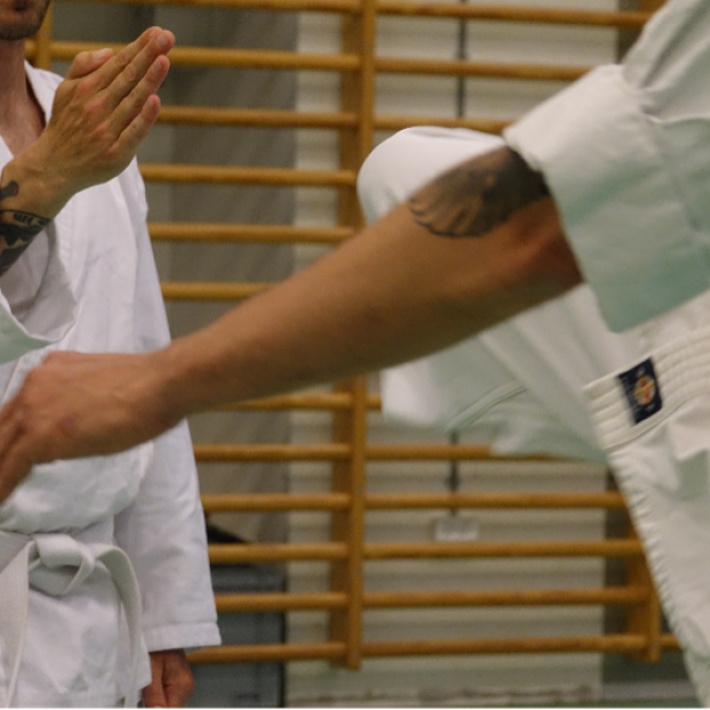 Karate fra 8 år og op - Begynder - Torsdage tryout image