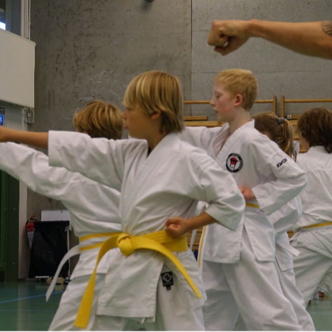 Karate fra 8 år og op - Begynder - Torsdage tryout image