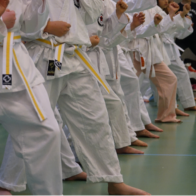 Karate fra 8 år og op - Begynder - Torsdage tryout image
